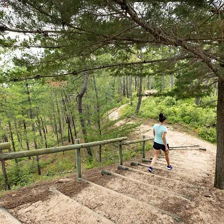 Abri Des Galees Saint-Hilaire-de-Riez