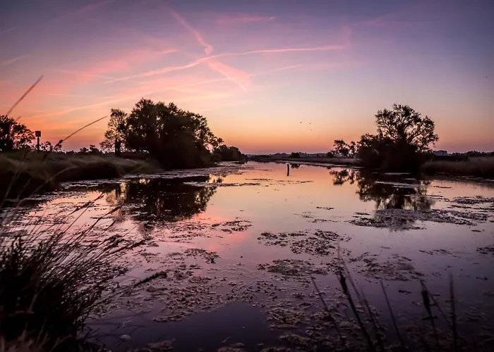 Abri Des Galees Apartment Saint-Hilaire-de-Riez