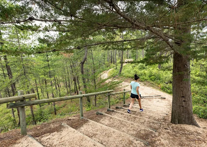 Abri Des Galees Saint-Hilaire-de-Riez